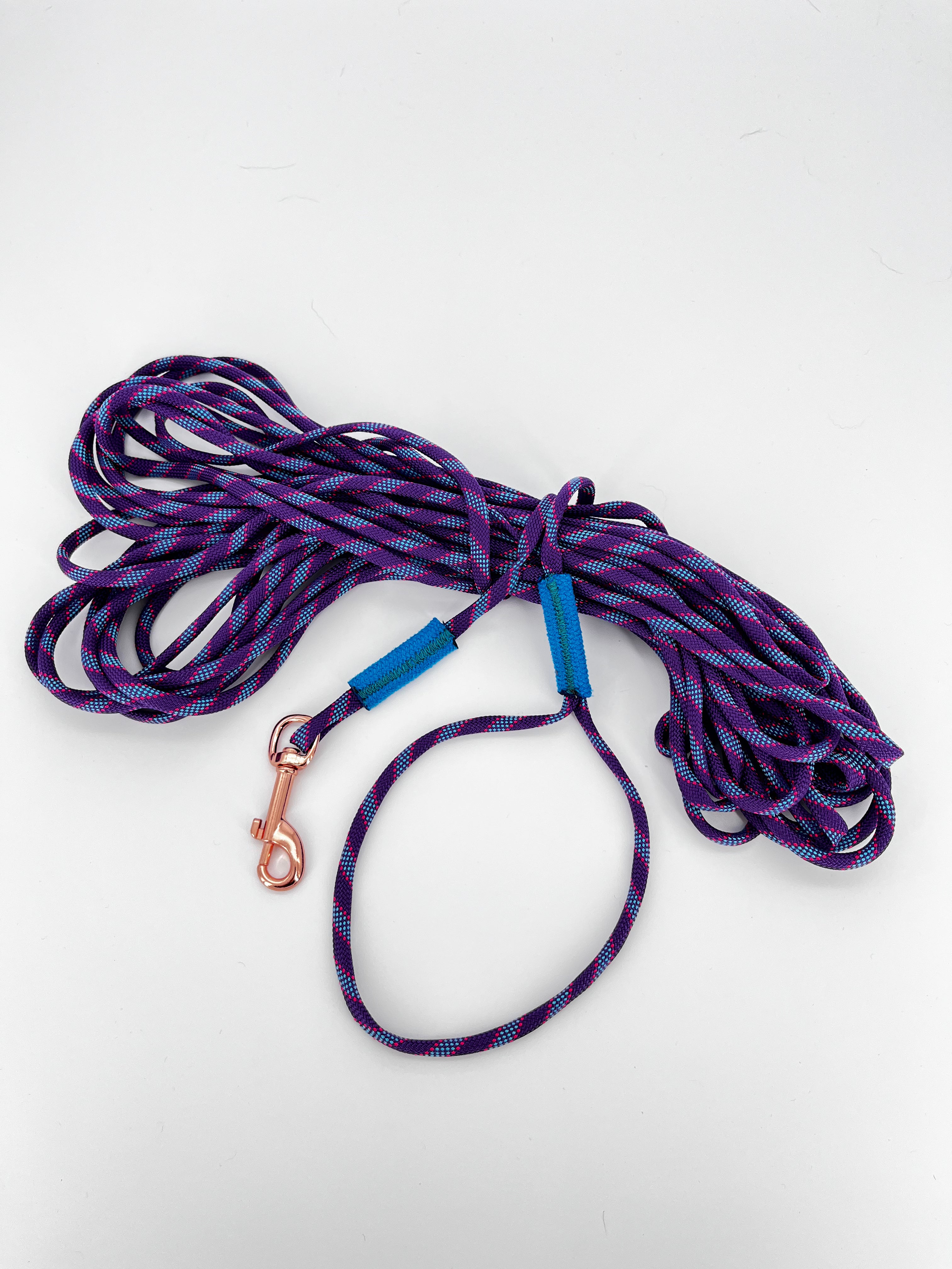 Longe pour Chien 15m en Corde d'Escalade Béal | BElay Brand