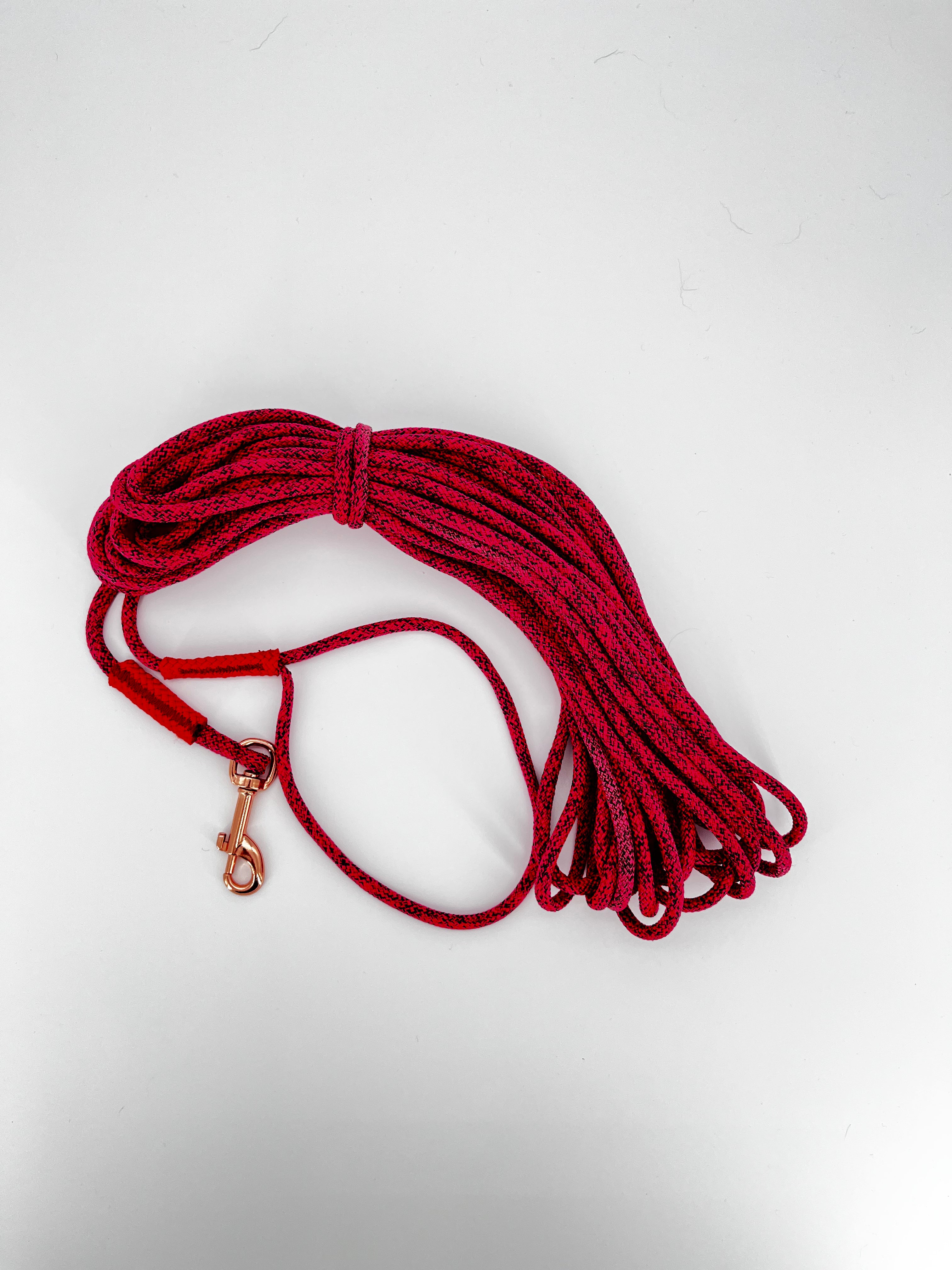 Longe pour Chien 15m en Corde d'Escalade Béal | BElay Brand