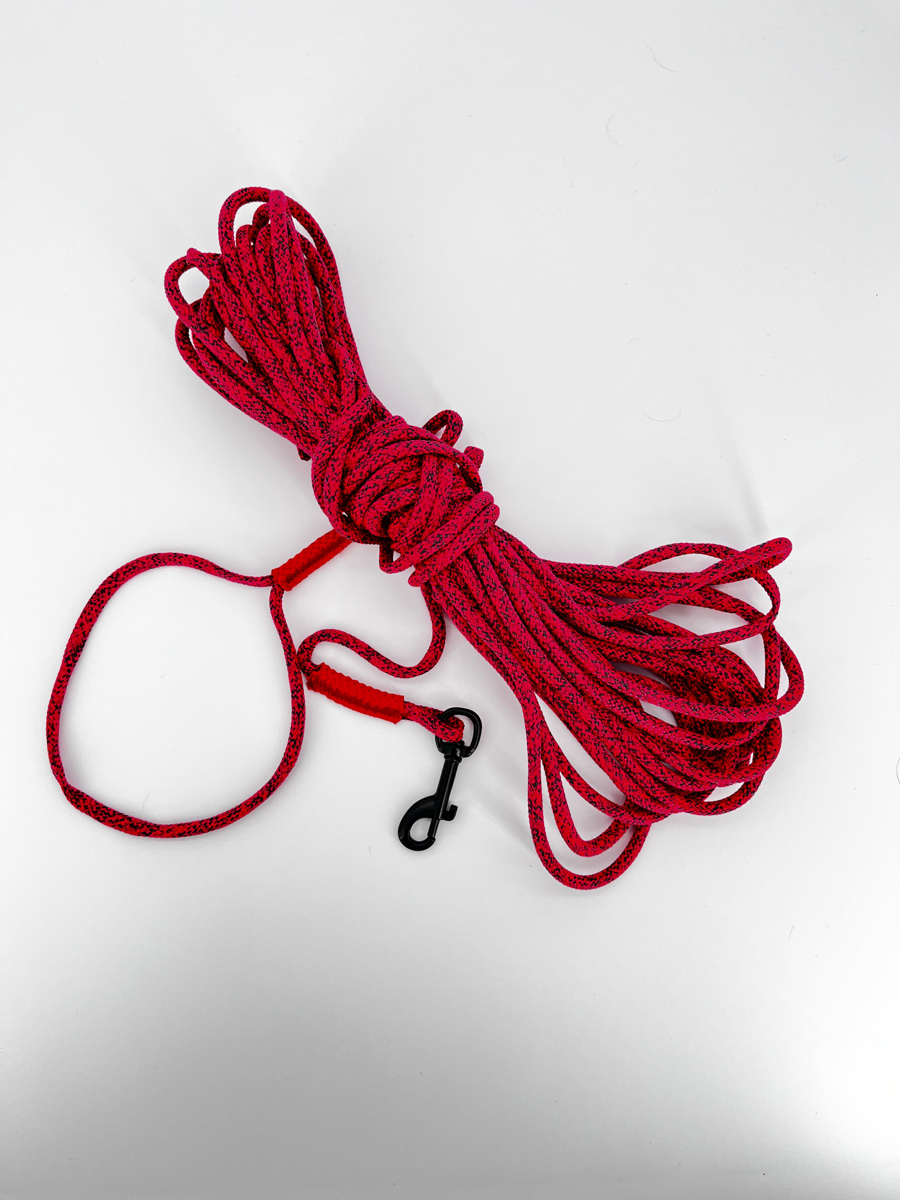 Longe pour Chien 15m en Corde d'Escalade Béal | BElay Brand