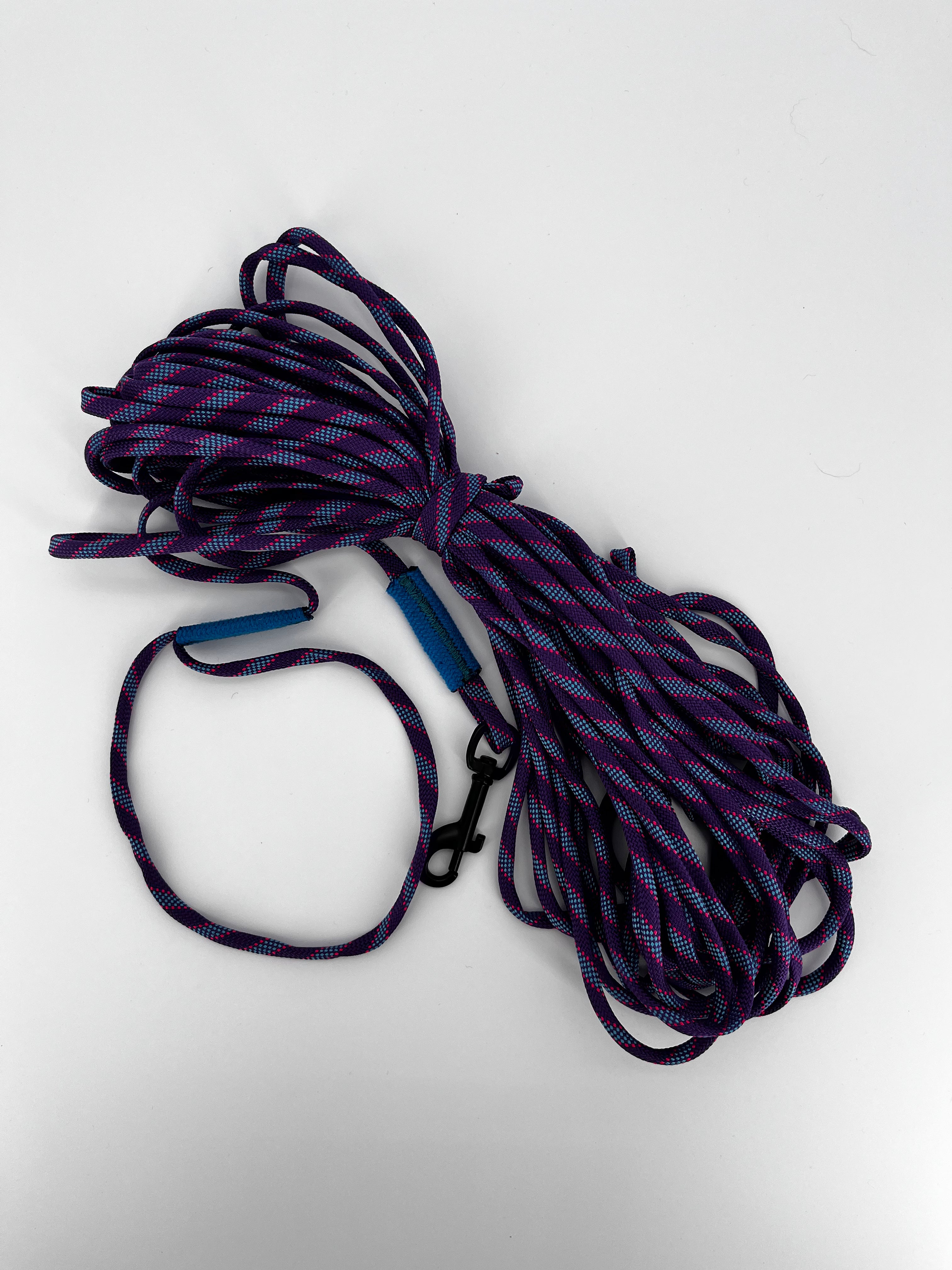 Longe pour Chien 15m en Corde d'Escalade Béal | BElay Brand