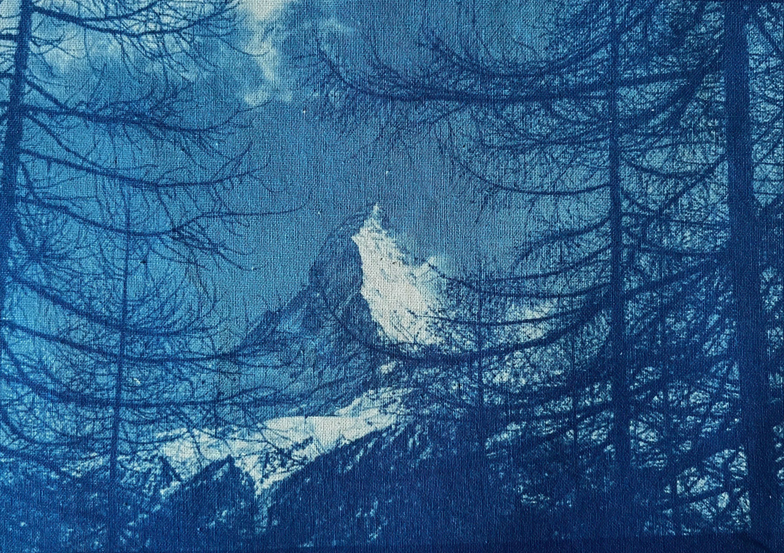 Le tote bag à emmener partout "les sommets"-Mont Cervin